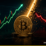 Bitcoin 2021’deki Ralliyi Tekrarlar mı? ETF’ler Satışta